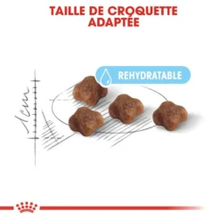 ROYAL CANIN Mother & Baby Cat 400g X2 -Promos Patou Noir Magasin fre pl ROYAL CANIN Mother Baby Cat 400g x2 30747 8