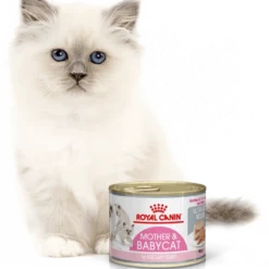 ROYAL CANIN Mother & Babycat Ultra Soft Mousse 195g X12 -Promos Patou Noir Magasin fre pl ROYAL CANIN Mother Babycat Ultra Soft Mousse 195g 15342 1
