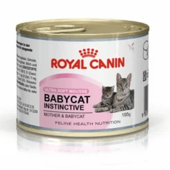 ROYAL CANIN Mother & Babycat Ultra Soft Mousse 195g X12 -Promos Patou Noir Magasin fre pl ROYAL CANIN Mother Babycat Ultra Soft Mousse 195g x12 29994 2