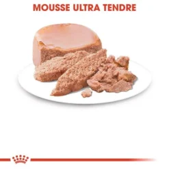 ROYAL CANIN Mother & Babycat Ultra Soft Mousse 195g X12 -Promos Patou Noir Magasin fre pl ROYAL CANIN Mother Babycat Ultra Soft Mousse 195g x12 29994 4