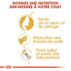 ROYAL CANIN Norwegian Forest Cat Adult 10kg -Promos Patou Noir Magasin fre pl ROYAL CANIN Norwegian Forest Cat Adult 10kg 16942 5