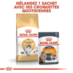 ROYAL CANIN Norwegian Forest Cat Adult 2kg -Promos Patou Noir Magasin fre pl ROYAL CANIN Norwegian Forest Cat Adult 2kg 16943 2