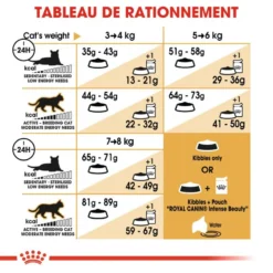 ROYAL CANIN Norwegian Forest Cat Adult 2kg -Promos Patou Noir Magasin fre pl ROYAL CANIN Norwegian Forest Cat Adult 2kg 16943 3