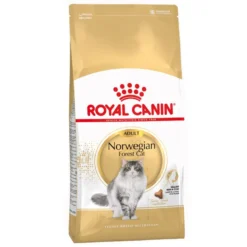 ROYAL CANIN Norwegian Forest Cat Adult 2kg -Promos Patou Noir Magasin fre pl ROYAL CANIN Norwegian Forest Cat Adult 2kg 16943 5