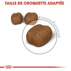 ROYAL CANIN Oral Care 1,5kg -Promos Patou Noir Magasin fre pl ROYAL CANIN Oral Care 1 5kg 17053 1