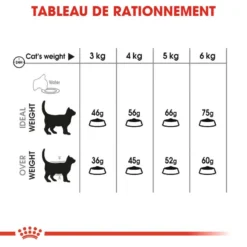 ROYAL CANIN Oral Care 8kg -Promos Patou Noir Magasin fre pl ROYAL CANIN Oral Care 8kg 15543 6