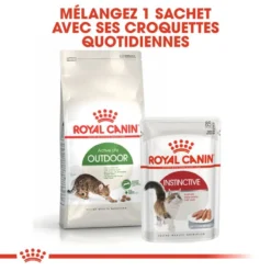 ROYAL CANIN Outdoor 2kg -Promos Patou Noir Magasin fre pl ROYAL CANIN Outdoor 2kg 16104 8