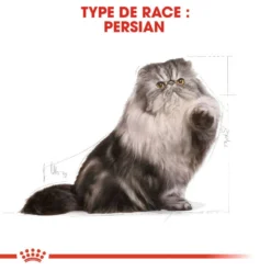 ROYAL CANIN Persian Adult 4kg -Promos Patou Noir Magasin fre pl ROYAL CANIN Persian Adult 4kg 16107 6