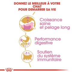 ROYAL CANIN Persian Kitten 2kg -Promos Patou Noir Magasin fre pl ROYAL CANIN Persian Kitten 2kg 16108 3
