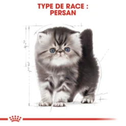 ROYAL CANIN Persian Kitten 2kg -Promos Patou Noir Magasin fre pl ROYAL CANIN Persian Kitten 2kg 16108 5
