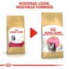 ROYAL CANIN Persian Kitten 2kg -Promos Patou Noir Magasin fre pl ROYAL CANIN Persian Kitten 2kg 16108 6