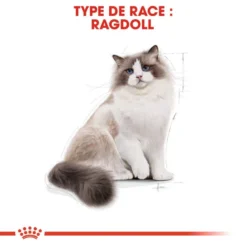 ROYAL CANIN Ragdoll Adult 2kg -Promos Patou Noir Magasin fre pl ROYAL CANIN Ragdoll Adult 2kg 16912 6
