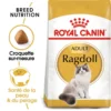 ROYAL CANIN Ragdoll Adult 400g -Promos Patou Noir Magasin fre pl ROYAL CANIN Ragdoll Adult 400g 15341 1