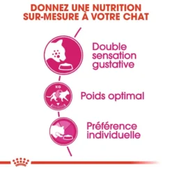 ROYAL CANIN Savour Exigent 4kg X2 -Promos Patou Noir Magasin fre pl ROYAL CANIN Savour Exigent 4kg x2 30762 3
