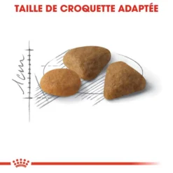 ROYAL CANIN Savour Exigent 4kg X2 -Promos Patou Noir Magasin fre pl ROYAL CANIN Savour Exigent 4kg x2 30762 7