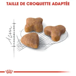 ROYAL CANIN Sensible 33 4kg X2 -Promos Patou Noir Magasin fre pl ROYAL CANIN Sensible 33 4kg x2 30775 4