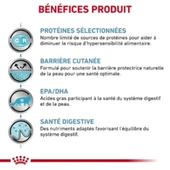 ROYAL CANIN Sensitivity Control Chicken 12x85g -Promos Patou Noir Magasin fre pl ROYAL CANIN Sensitivity Control Chicken 12x85g 11307 4