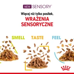 ROYAL CANIN Sensory Feel Aliments Humides, Morceaux En Sauce 12x85g -Promos Patou Noir Magasin fre pl ROYAL CANIN Sensory Feel aliments humides morceaux en sauce 12x85g 25359 6