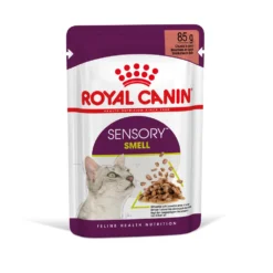 ROYAL CANIN Sensory Smell Nourriture Humide, Morceaux En Sauce 12x85g -Promos Patou Noir Magasin fre pl ROYAL CANIN Sensory Smell nourriture humide morceaux en sauce 12x85g 25360 4