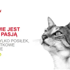 ROYAL CANIN Sensory Smell Nourriture Humide, Morceaux En Sauce 12x85g -Promos Patou Noir Magasin fre pl ROYAL CANIN Sensory Smell nourriture humide morceaux en sauce 12x85g 25360 5