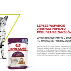 ROYAL CANIN Sensory Smell Nourriture Humide, Morceaux En Sauce 12x85g -Promos Patou Noir Magasin fre pl ROYAL CANIN Sensory Smell nourriture humide morceaux en sauce 12x85g 25360 6