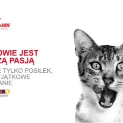 ROYAL CANIN Sensory Taste Nourriture Humide, Morceaux En Sauce 12x85g -Promos Patou Noir Magasin fre pl ROYAL CANIN Sensory Taste nourriture humide morceaux en sauce 12x85g 25358 5