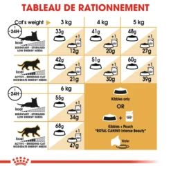 ROYAL CANIN Siamese Adult 2kg -Promos Patou Noir Magasin fre pl ROYAL CANIN Siamese Adult 2kg 16135 4