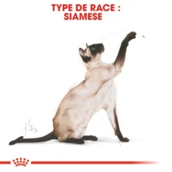 ROYAL CANIN Siamese Adult 2kg -Promos Patou Noir Magasin fre pl ROYAL CANIN Siamese Adult 2kg 16135 6