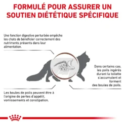 ROYAL CANIN Skin Hairball Gastrointestinal 4kg + Surprise Pour Votre Chat GRATUITES ! -Promos Patou Noir Magasin fre pl ROYAL CANIN Skin Hairball Gastrointestinal 4kg surprise pour votre chat GRATUITES 25232 4