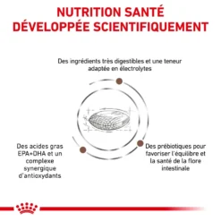 ROYAL CANIN Skin Hairball Gastrointestinal 4kg + Surprise Pour Votre Chat GRATUITES ! -Promos Patou Noir Magasin fre pl ROYAL CANIN Skin Hairball Gastrointestinal 4kg surprise pour votre chat GRATUITES 25232 5