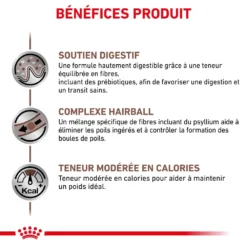 ROYAL CANIN Skin Hairball Gastrointestinal 4kg + Surprise Pour Votre Chat GRATUITES ! -Promos Patou Noir Magasin fre pl ROYAL CANIN Skin Hairball Gastrointestinal 4kg surprise pour votre chat GRATUITES 25232 6