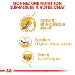 ROYAL CANIN Sphynx Adult 2kg -Promos Patou Noir Magasin fre pl ROYAL CANIN Sphynx Adult 2kg 15980 2