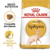 ROYAL CANIN Sphynx Adult 400g -Promos Patou Noir Magasin fre pl ROYAL CANIN Sphynx Adult 400g 15979 1