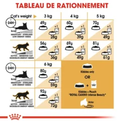 ROYAL CANIN Sphynx Adult 400g -Promos Patou Noir Magasin fre pl ROYAL CANIN Sphynx Adult 400g 15979 5