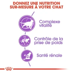 ROYAL CANIN Sterilised +7 10kg -Promos Patou Noir Magasin fre pl ROYAL CANIN Sterilised 7 10kg 16804 3
