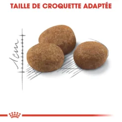 ROYAL CANIN Sterilised +7 10kg -Promos Patou Noir Magasin fre pl ROYAL CANIN Sterilised 7 10kg 16804 4