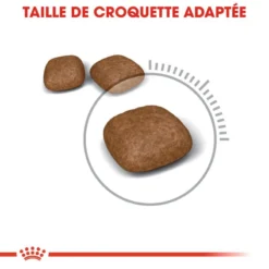 ROYAL CANIN Urinary Care 10kg + Surprise Pour Votre ChatGRATUITES ! -Promos Patou Noir Magasin fre pl ROYAL CANIN Urinary Care 10kg Surprise pour votre chat GRATUITES 25262 4