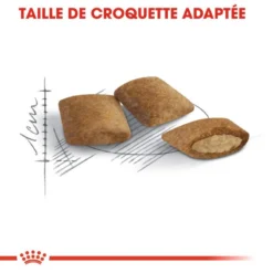 Royal Canin Ageing +12 2kg -Promos Patou Noir Magasin fre pl Royal Canin Ageing 12 2kg 9111 5