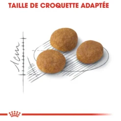 Royal Canin Aroma Exigent 2kg -Promos Patou Noir Magasin fre pl Royal Canin Aroma Exigent 2kg 15984 3