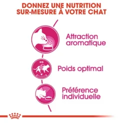 Royal Canin Aroma Exigent 2kg -Promos Patou Noir Magasin fre pl Royal Canin Aroma Exigent 2kg 15984 4