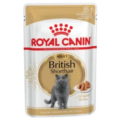 Royal Canin British Shorthair Adult 12x85g -Promos Patou Noir Magasin fre pl Royal Canin British Shorthair Adult 12x85g 9090 2