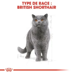 Royal Canin British Shorthair Adult 400g -Promos Patou Noir Magasin fre pl Royal Canin British Shorthair Adult 400g 9126 3