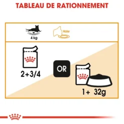 Royal Canin Intense Beauty 12x85g -Promos Patou Noir Magasin fre pl Royal Canin Intense Beauty 12x85g 9094 5