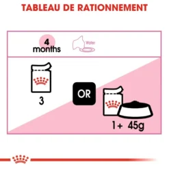 Royal Canin Kitten Pâté 12x85g -Promos Patou Noir Magasin fre pl Royal Canin Kitten Pate 12x85g 9203 7