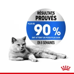 Royal Canin Light Weight Care 12x85g -Promos Patou Noir Magasin fre pl Royal Canin Light Weight Care 12x85g 9096 3