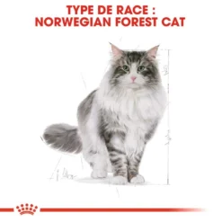Royal Canin Norwegian Forest Cat Adult 400g -Promos Patou Noir Magasin fre pl Royal Canin Norwegian Forest Cat Adult 400g 9017 1