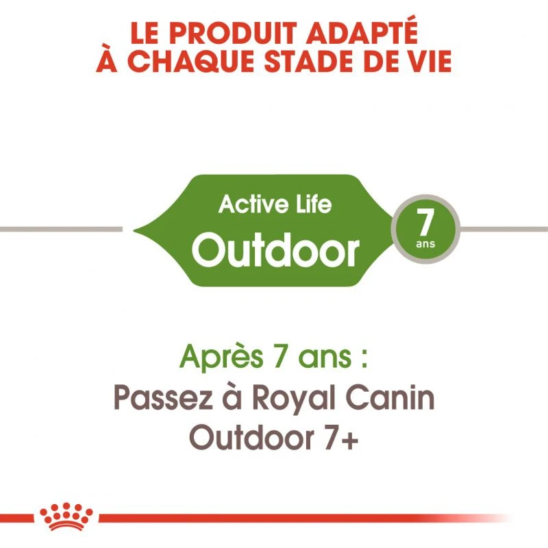 Royal Canin Outdoor 400g 7 Royal Canin Outdoor 400g – Image 5