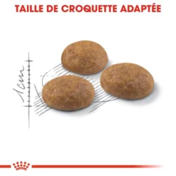 Royal Canin Outdoor 400g 11 Royal Canin Outdoor 400g -Promos Patou Noir Magasin fre pl Royal Canin Outdoor 400g 8663 3