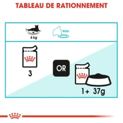 Royal Canin Urinary Care 12x85g -Promos Patou Noir Magasin fre pl Royal Canin Urinary Care 12x85g 9091 3