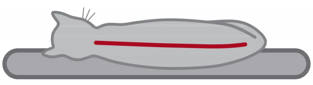 Trixie Grattoir Sur Pied Emil 96x69x59cm 5 Trixie Grattoir Sur Pied Emil 96x69x59cm – Image 4